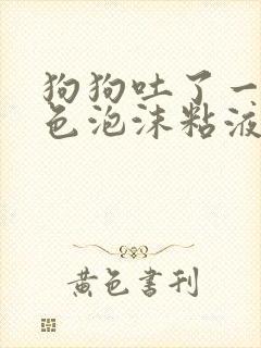 狗狗吐了一滩白色泡沫粘液还拉稀