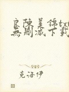 良陈美锦txt无删减下载