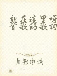 就在这里呀是哪首歌的歌词