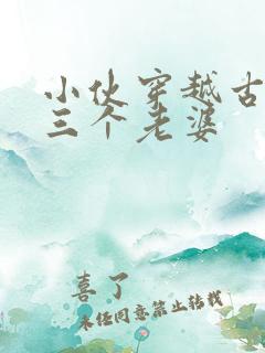 小伙穿越古代娶三个老婆