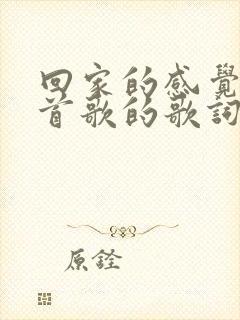 回家的感觉是哪首歌的歌词