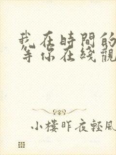 我在时间的尽头等你在线观看