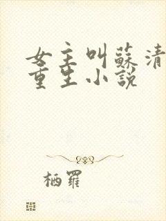 女主叫苏清欢的重生小说