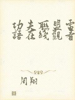 功夫联盟电影国语在线观看