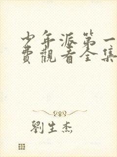 少年派第一季免费观看全集完整版