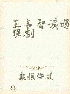 王韦智演过的电视剧