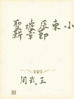 圣墟辰东小说最新章节