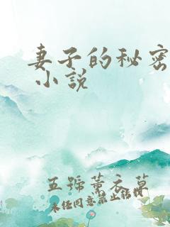 妻子的秘密吴双 小说