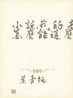 小说,我的老婆怎么能这么可爱?