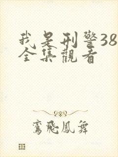 我是刑警38集全集观看