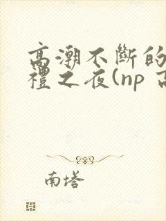 高潮不断的成年礼之夜(np 高h 纯肉)