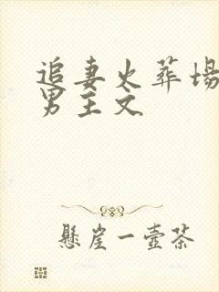 追妻火葬场的双男主文