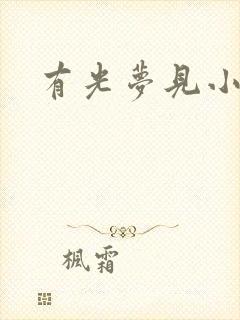 有光梦见小说