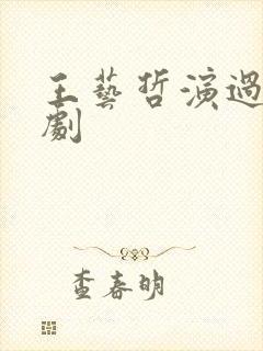 王艺哲演过哪些剧