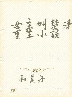 女主叫楚潇潇的重生小说