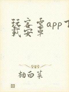 玩客云app下载安卓