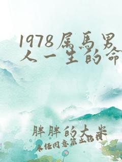 1978属马男人一生的命运