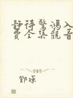 静待惊鸿入瓮免费全集观看