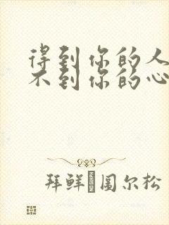 得到你的人却得不到你的心的歌词