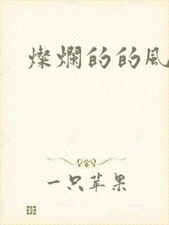 灿烂的的风和海