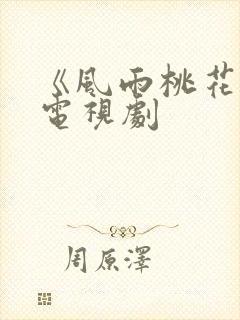 《风雨桃花镇》电视剧