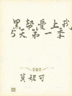 黑帮爱上我365天第一季