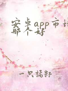 安卓app市场哪个好