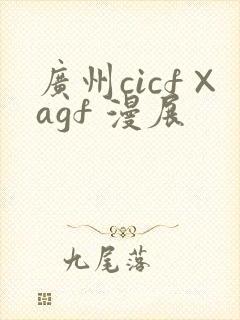 广州cicf×agf 漫展