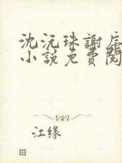 沈沅珠谢序川的小说免费阅读全文