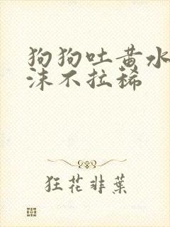 狗狗吐黄水带泡沫不拉稀