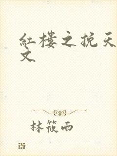 红楼之挽天倾全文