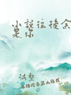 小说往后余生都是你