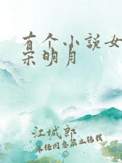 有个小说女主叫宋明月