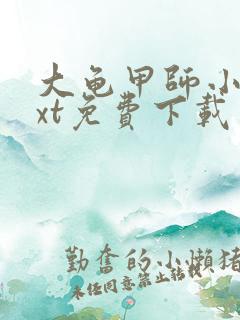 大龟甲师小说txt免费下载