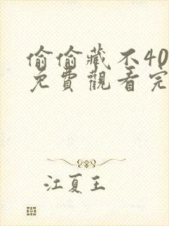 偷偷藏不40集免费观看完整版