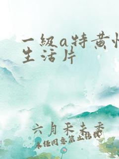一级a特黄性色生活片
