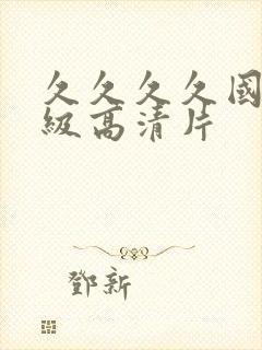 久久久久国产一级高清片