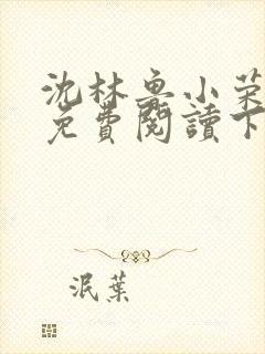 沈林鲁小荣小说免费阅读下载