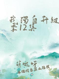 我独自升级第二季12集