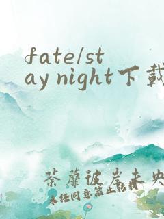 fate/stay night下载