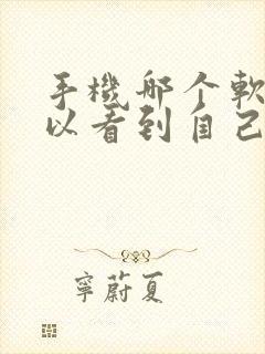 手机哪个软件可以看到自己去过哪里