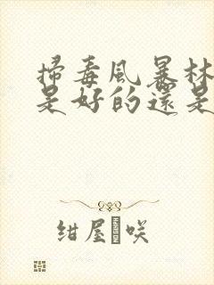 扫毒风暴林强峰是好的还是坏的