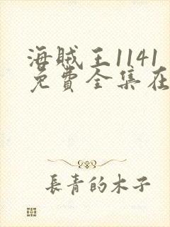 海贼王1141免费全集在线观看动漫