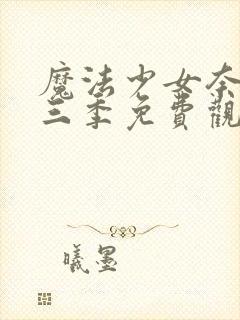 魔法少女奈叶第三季免费观看全集