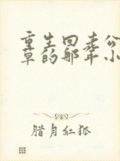 重生回老公当校草的那年小说甜饼写手