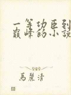 一等功臣到权力巅峰的小说