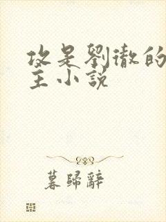 攻是刘彻的双男主小说