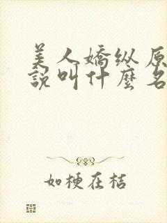 美人娇纵原著小说叫什么名字