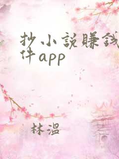抄小说赚钱的软件app