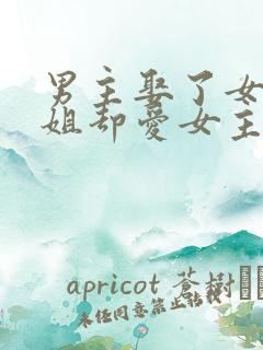 男主娶了女主姐姐却爱女主